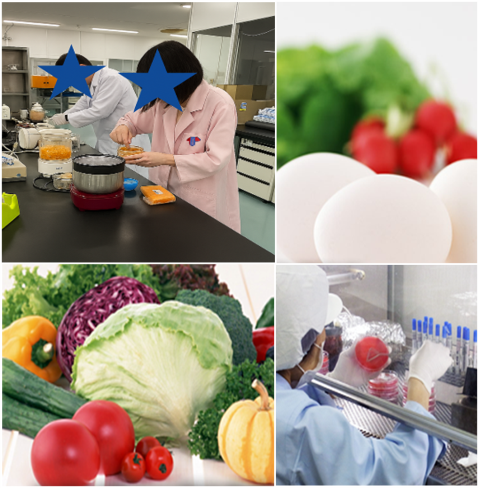 株式会社 日本食品エコロジー研究所